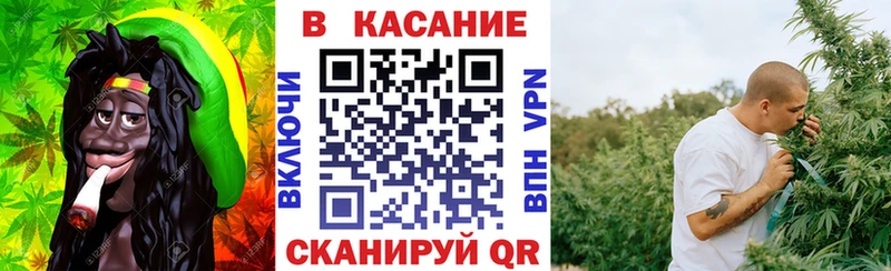 Бошки Шишки Сураж