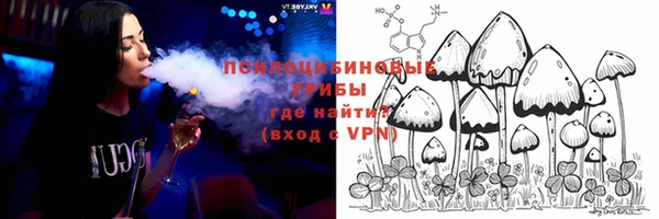 дурь Лагань