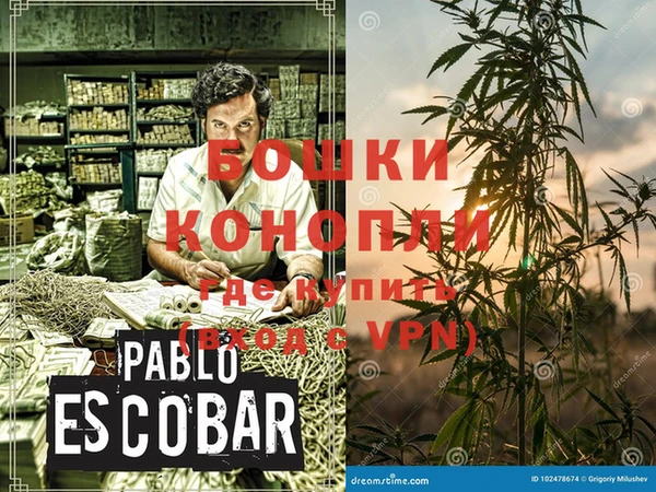 дурь Лагань