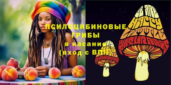 дурь Лабытнанги