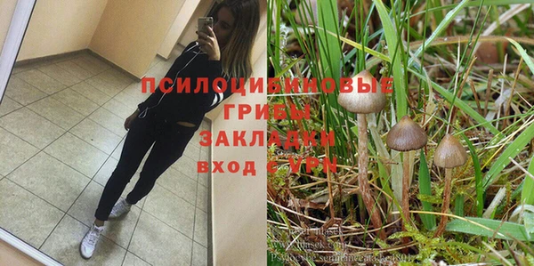 мяу мяу кристалл Ладушкин