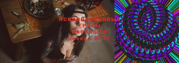 дурь Лабытнанги