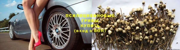 мяу мяу кристалл Ладушкин