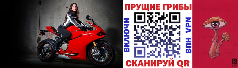 Галлюциногенные грибы Psilocybine cubensis  Купить закладки  Сураж 